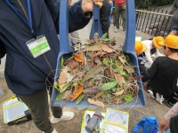 こんなにとれたよ