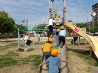 IMGP0522
