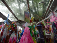 DSC02557