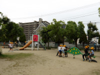 IMGP0473