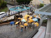 DSCN2531