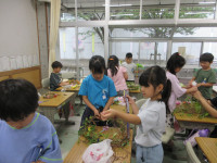 IMG_1745