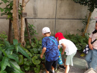 IMGP0055