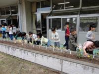 おいしい野菜ができますように おいしい野菜ができますように