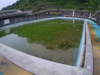 今の状態 今の状態